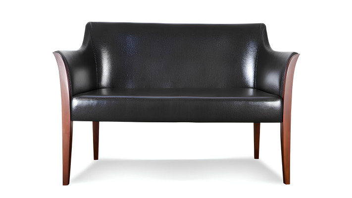 Canapé en cuir moderne