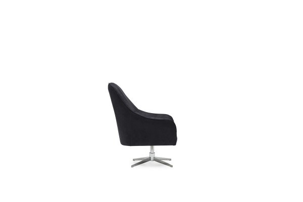 Fauteuil de luxe pour le salon, fauteuils de détente, club, lounge, canapé, fauteuil