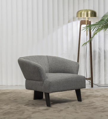 Fauteuil luxueux pour le salon
