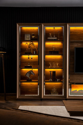 Mur de salon de luxe avec cheminée et table basse