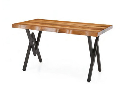 Table à manger table de jardin table de terrasse table avec bord naturel bois acier inoxydable