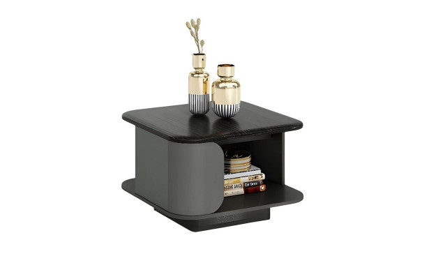 Table basse moderne avec des dimensions compactes et un plateau ouvert, en plus d'un plateau noir
