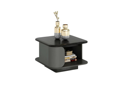 Table basse moderne avec des dimensions compactes et un plateau ouvert, en plus d'un plateau noir