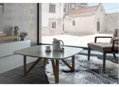 Table basse Salon Table Luxe Noyer Naturel Table d'appoint Design