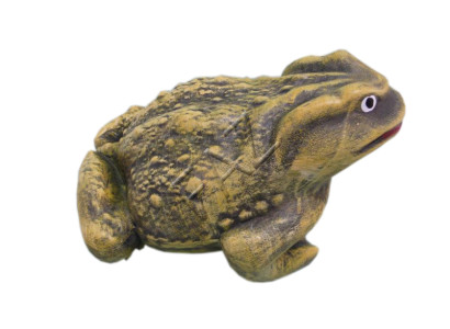 Figure De Grenouille De Conception Statue De Jardin Sculptures Sculpture Figures Décoration c549