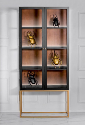 Vitrines Armoires Vitrines Armoire Bois Verre Mobilier Design Salon Vitrine en verre