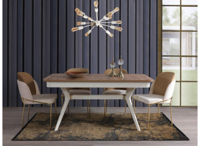 Ensemble complet Table à manger 4x Chaises Ensemble de salle à manger Groupe Ess en bois 5 pièces