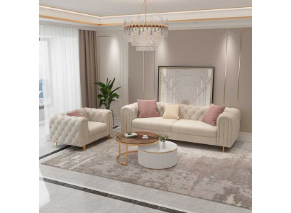 Ensemble de canapé de salon comprenant 2 pièces : canapé double moderne en cuir et fauteuil.