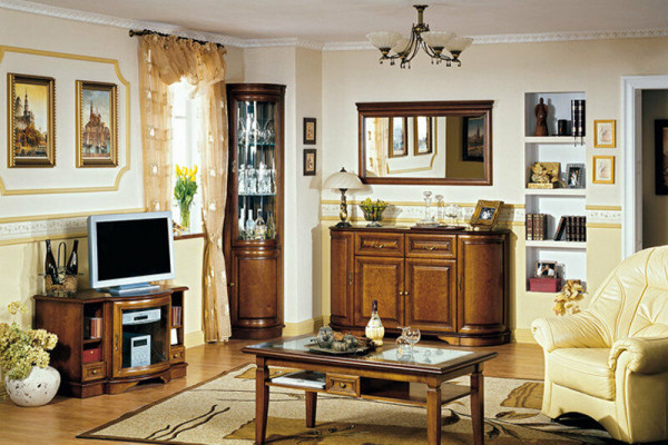Vitrine classique Armoire vitrine en verre Rustique Armoire en verre MODÈLE Z-W1