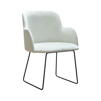 1x Chaise de salle à manger Chaise de salon Chaises de cuisine Chaise rembourrée avec accoudoir