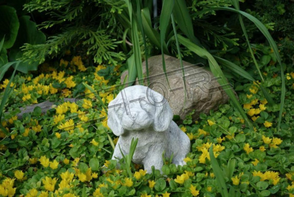 Décoration de jardin Chien Patio Pierre Figure Figurines Statuette Décorative Blanche
