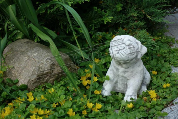 Décoration de jardin Chien Patio Figurine en pierre Blanche Statuette décorative