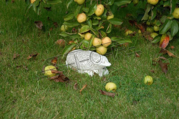 Décoration de jardin Hérisson Pierre de patio Figurines Figure Statue Décorative