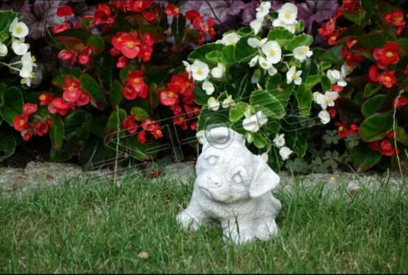 Décoration de jardin Chien blanc Figurines en pierre de patio Statue décorative Figure