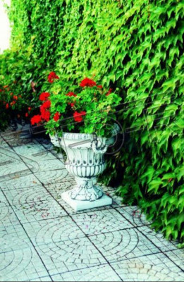 Pots de fleurs, pots de plantes, figurine de décoration, pots de fleurs, vases de jardin, nature