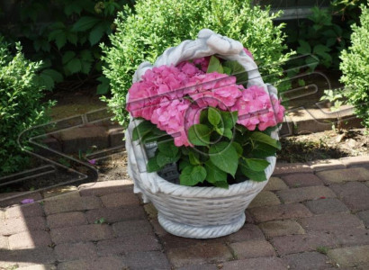 Cache-pot pot de fleur décoration nature jardin figure vases pots de fleurs