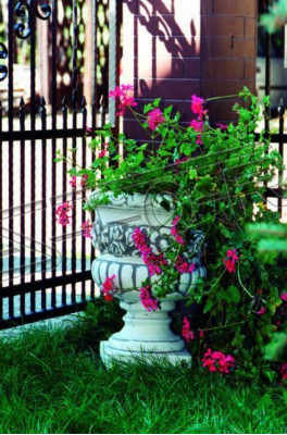 Pot de fleur, pot de plante, décoration naturelle, figurine, vase, pots de fleurs, jardin