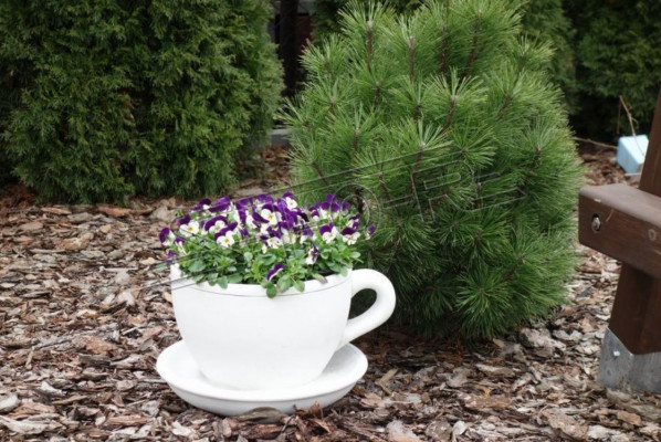 Pot de fleurs, pot de plantes, décoration naturelle vases figure jardin pots de fleurs