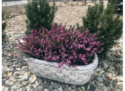 Pot de fleurs plantation décoration de pot naturel vases de jardin pots de fleurs figure