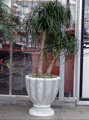 Boîte de pots de fleurs pour pots de fleurs décoratifs XXL en béton pour jardin et terrasse