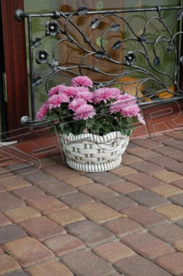 Pots de fleurs boîte pot fleurs pots XXL jardin béton terrasse décorative.