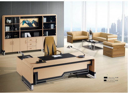 Bibliothèque de bureau Armoire de classement Mobilier de luxe Décor moderne Armoires décoratives