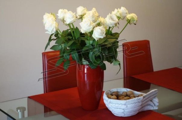 Décoration vase bols bol ailes d'ange plateau de clé
