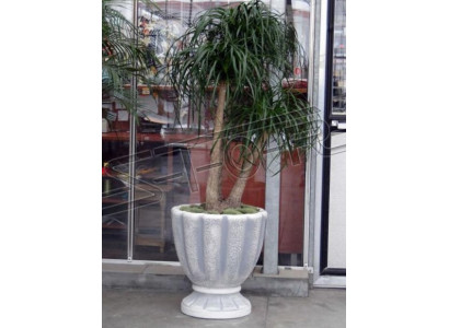 Conception de pot de fleur décoratif, pot à plantes au sommet, pots de récipient figure visage