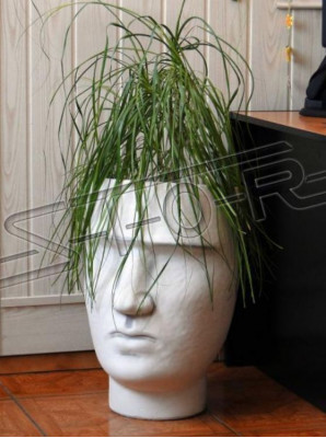 Conception de pot de fleurs dessus de pot de plante vase décoratif figure pots sculpture de visage.