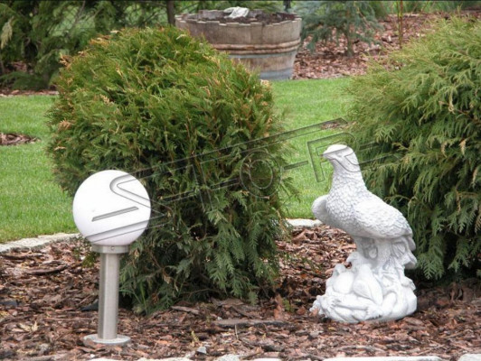 Figure Aigle Statue de Jardin Sculpture Sculptures Figures Statues Décoration