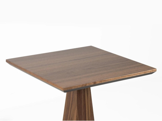 Table d'appoint de salon en bois Design Mobilier Table basse nouvelle Mobilier