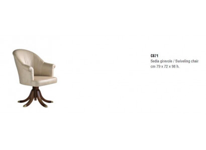 Meubles design de luxe, chaises de style classique, fauteuil en textile pour le salon, nouveau salon lounge.