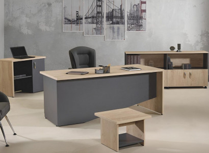 Bureau complet Mobilier de bureau Bureau de bureau Ensemble de bureau 4 pièces Bois Gris