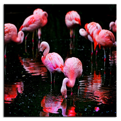 Image Images Peintures Impression Impression sur toile Culture "Abstrait" Oiseau G93295