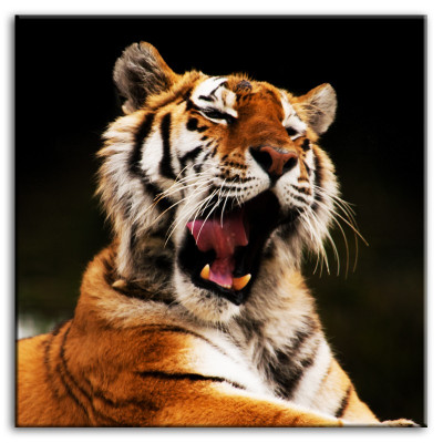 Image Images Peinture Impression Art Imprimé Tapisserie Culture "Abstrait" Tigre G92789
