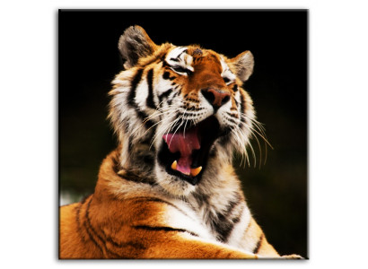 Image Images Peinture Impression Art Imprimé Tapisserie Culture "Abstrait" Tigre G92789