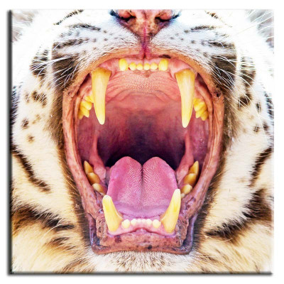 Image Images Peintures Impression Impression sur toile Culture "Abstrait" Tigre G92834