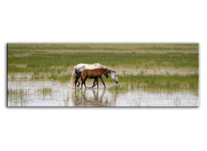 Image Images Peinture Impression Art Imprimé Tapisserie Culture "Abstrait" Cheval G93316