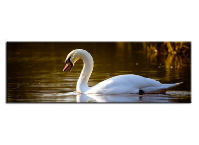 Image Images Peintures Impression Impression sur toile Culture "Abstrait" Swan G93439