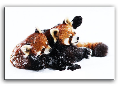 Image Images Peinture Impression Reproduction Tissu Belettes rouges Chats Ours G92778