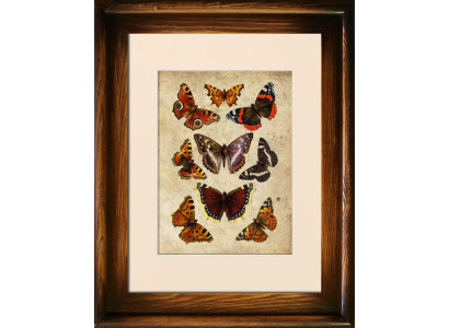 Image Images Peintures Affiches Impression Impression Tapisserie Culture "Abstrait" nouveau G93305