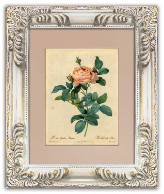 Image images avec cadre de plante réel dans le style baroque noble peinture G95096