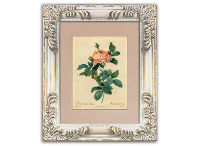 Image images avec cadre de plante réel dans le style baroque noble peinture G95096