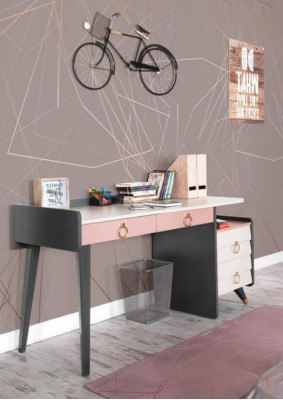Bureau de secrétariat Design Mobilier d'écriture luxueux Bureaux en bois