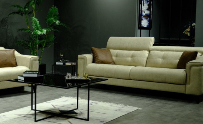 Salon beige Trois places en cuir Canapé 3 places Rembourrage Cadre en bois