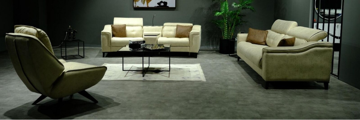 Salon beige Trois places en cuir Canapé 3 places Rembourrage Cadre en bois