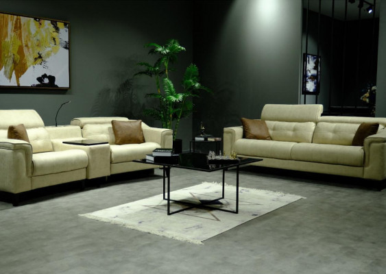 Salon beige Trois places en cuir Canapé 3 places Rembourrage Cadre en bois
