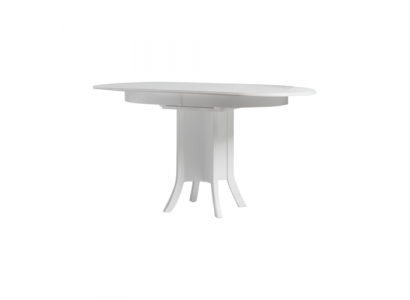 Table de salle à manger extensible Table de salle à manger Bois Table en bois Table Blanche