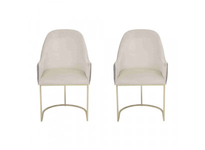 Chaise rembourrée 2x Chaises Chaise de salle à manger Chaise de cuisine de haute qualité Multicolore Moderne