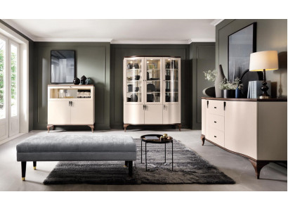 Armoires classiques Vitrine Présentoirs Bois Élégant Luxe Vitrine Verre Armoire Bois